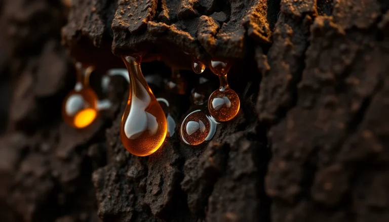 Benzoin Resinoid (CAS 9000-05-09) — Balsamic Base Note Fragrance Ingredient