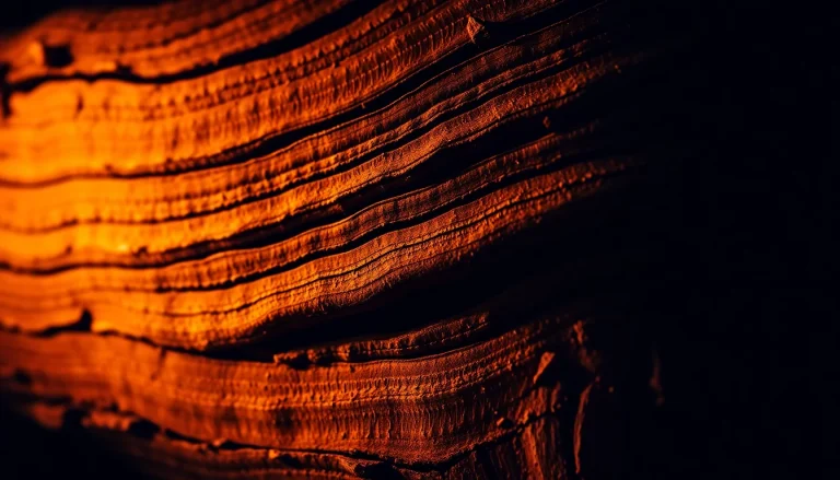 Copaiba balsam (CAS 8013-97-6) — Woody Base Note Fragrance Ingredient