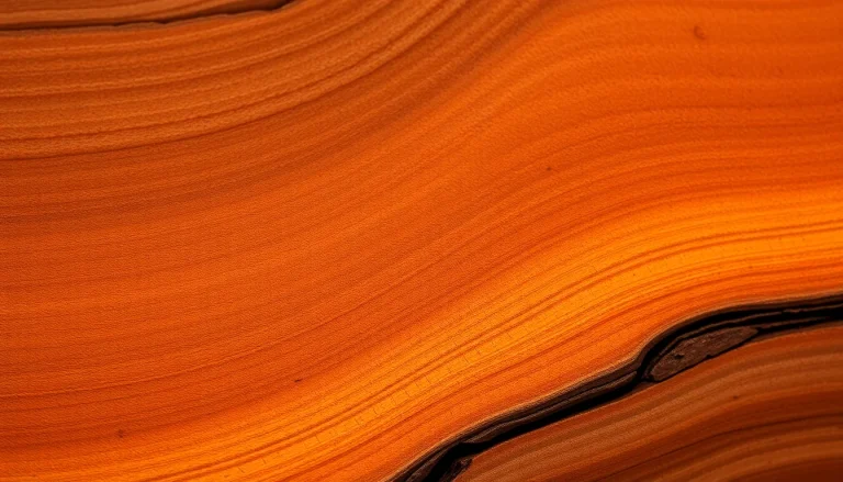 Ethyl ricinoleate (CAS 55066-53-0) — Woody Base Note Fragrance Ingredient