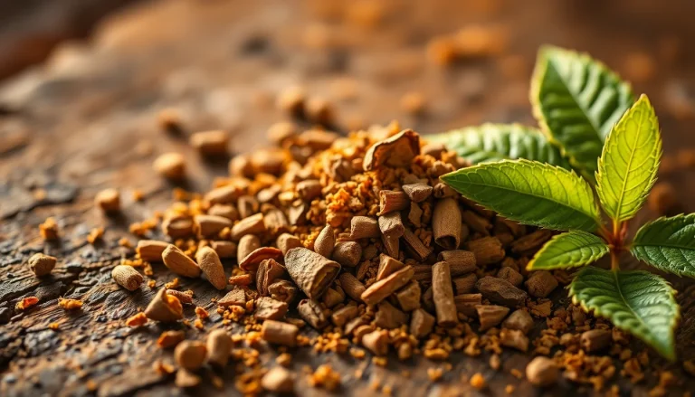 Evodia rutaecarpa oil (CAS 1137739-11-7) — Spicy Middle Note Fragrance Ingredient