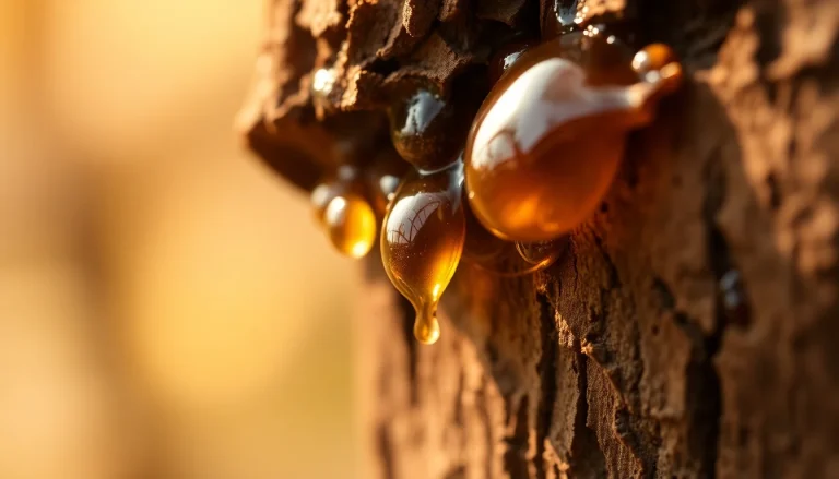 Fats and glyceridic oils, vegetable-oil, glyceride and tocopherol fraction (CAS 72869-74-0) — Balsamic Base Note Fragrance Ingredient