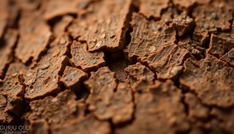 Gurjun Balsam Oil (CAS 8030-55-5) — Woody Base Note Fragrance Ingredient