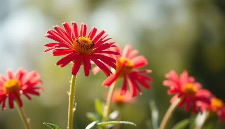 Heliopsis longipes CO2 extract (CAS 792933-14-3) — Floral Heart Note Fragrance Ingredient