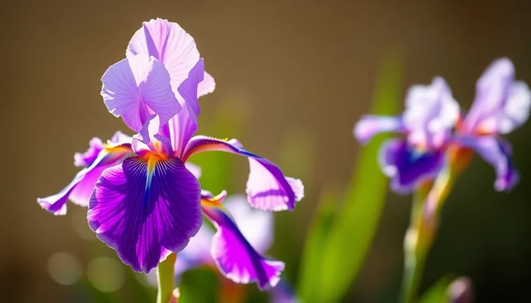 Iris germanica absolute (CAS 1048028-77-8) — Floral Base Note Fragrance Ingredient