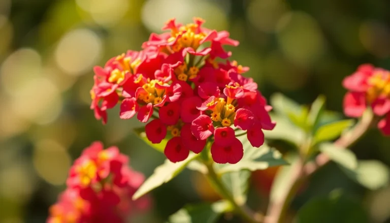 Lantana camara oil (CAS 90046-17-6) — Floral Heart to base Note Fragrance Ingredient