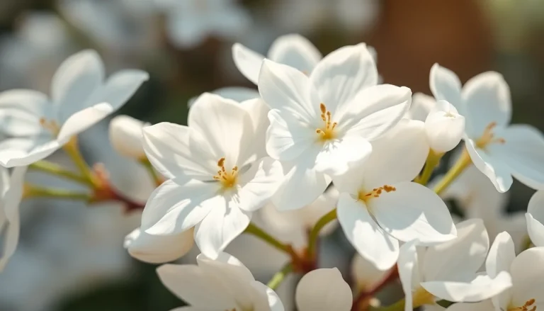 Methyl-beta-ionone (CAS 127-43-5) — Floral Heart to base Note Fragrance Ingredient