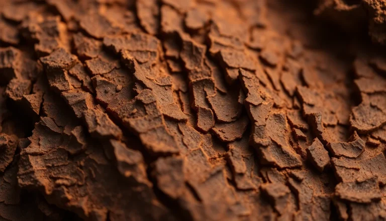 Oils, sandalwood, santalene synthase-modified Rhodobacter sphaeroides-fermented, from D-Glucose, oxidized (CAS 2576531-09-2) — Woody Base Note Fragrance Ingredient