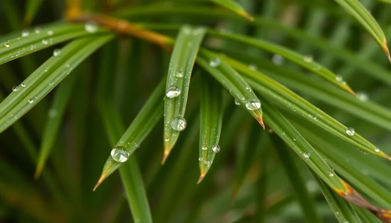 Palm oil, fixed (CAS 8002-75-3) — Green Base Note Fragrance Ingredient