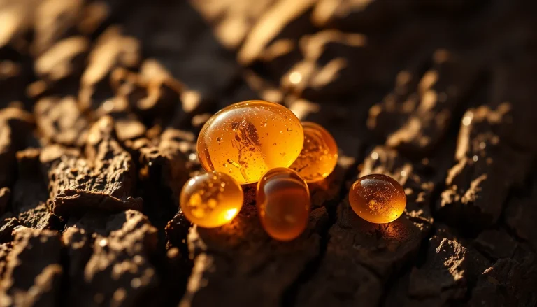 Tonka Bean Absolute (CAS 8046-22-8) — Balsamic Base Note Fragrance Ingredient