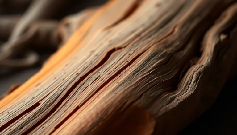 trans-2-tert-Butylcyclohexan-1-ol (CAS 5448-22-6) — Woody Middle to base Note Fragrance Ingredient